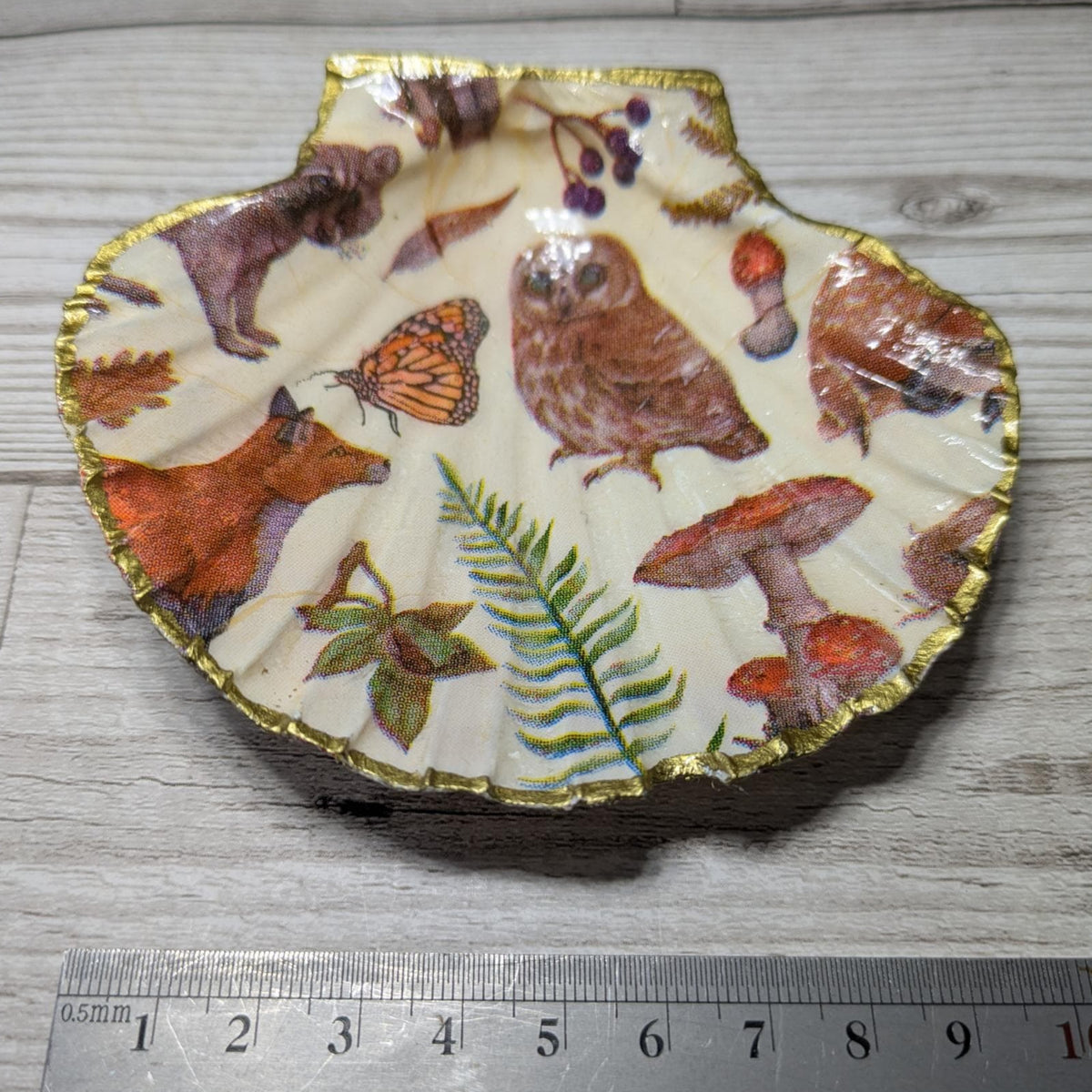 Woodland Animals Scallop Shell