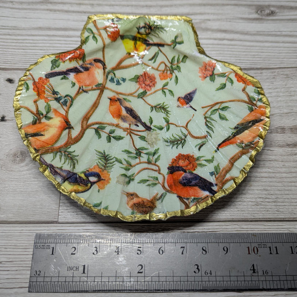 Bird Patterned Scallop Shell
